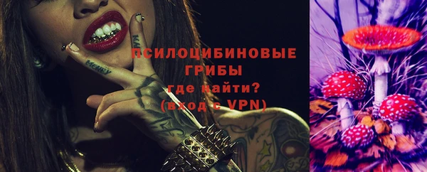 гашик Алексеевка