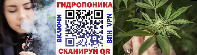что такое наркотик  omg ссылка  Шишки марихуана Amnesia  Перевоз 